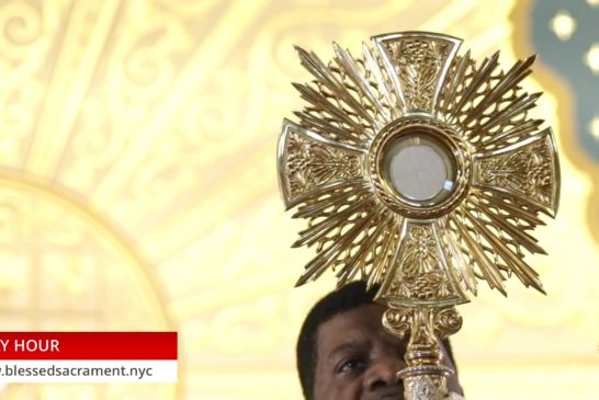 Holy Hour | July 21 2020 | Fr. Saint Charles Borno
