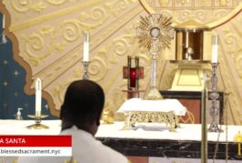 Holy Hour | July 23 2020 | Fr. Saint Charles Borno