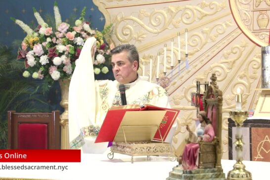 Mass Online | November 22th 2020 | Rev. Gabriel Toro R.  Sunday ( Spanish Mass)