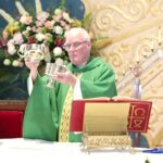Mass Online | November 15th 2020 | Rev. Richard Hoare ( Sunday Mass – English)