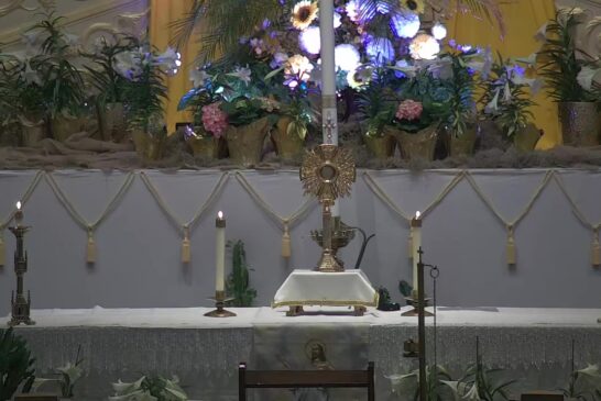 Holy Hour | April 9th 2021 | Rev. Saint Charles Borno