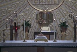 Mass Online / Holy Hour | May 28th  2021  |  Rev. Gabriel Toro R.